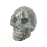 Labradoriet schedel Nr 14