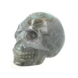 Labradoriet schedel Nr 14