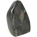 Labradoriet sculptuur Nr 56