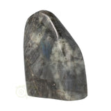 Labradoriet sculptuur Nr 59