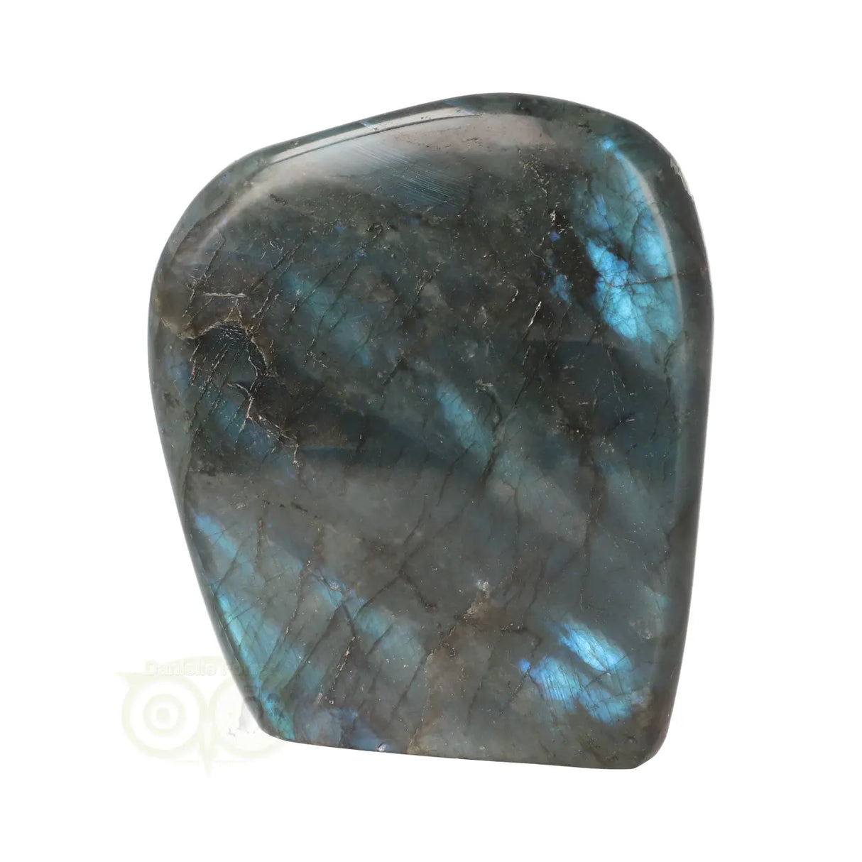 Labradoriet sculptuur Nr 60