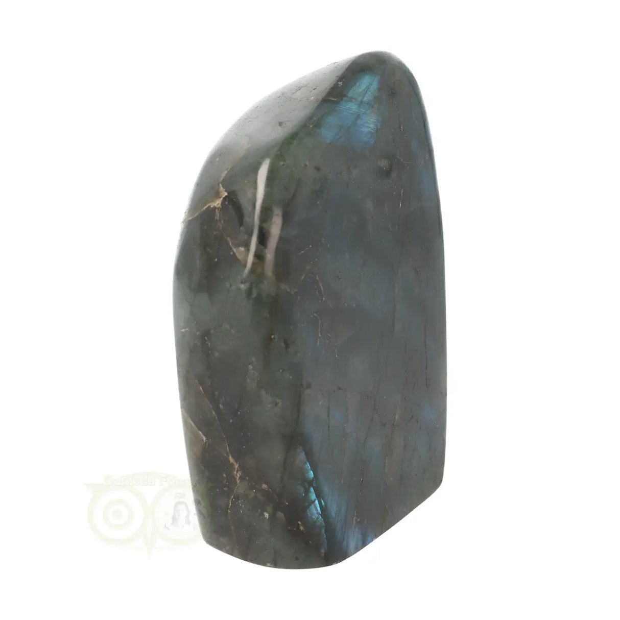 Labradoriet sculptuur Nr 60