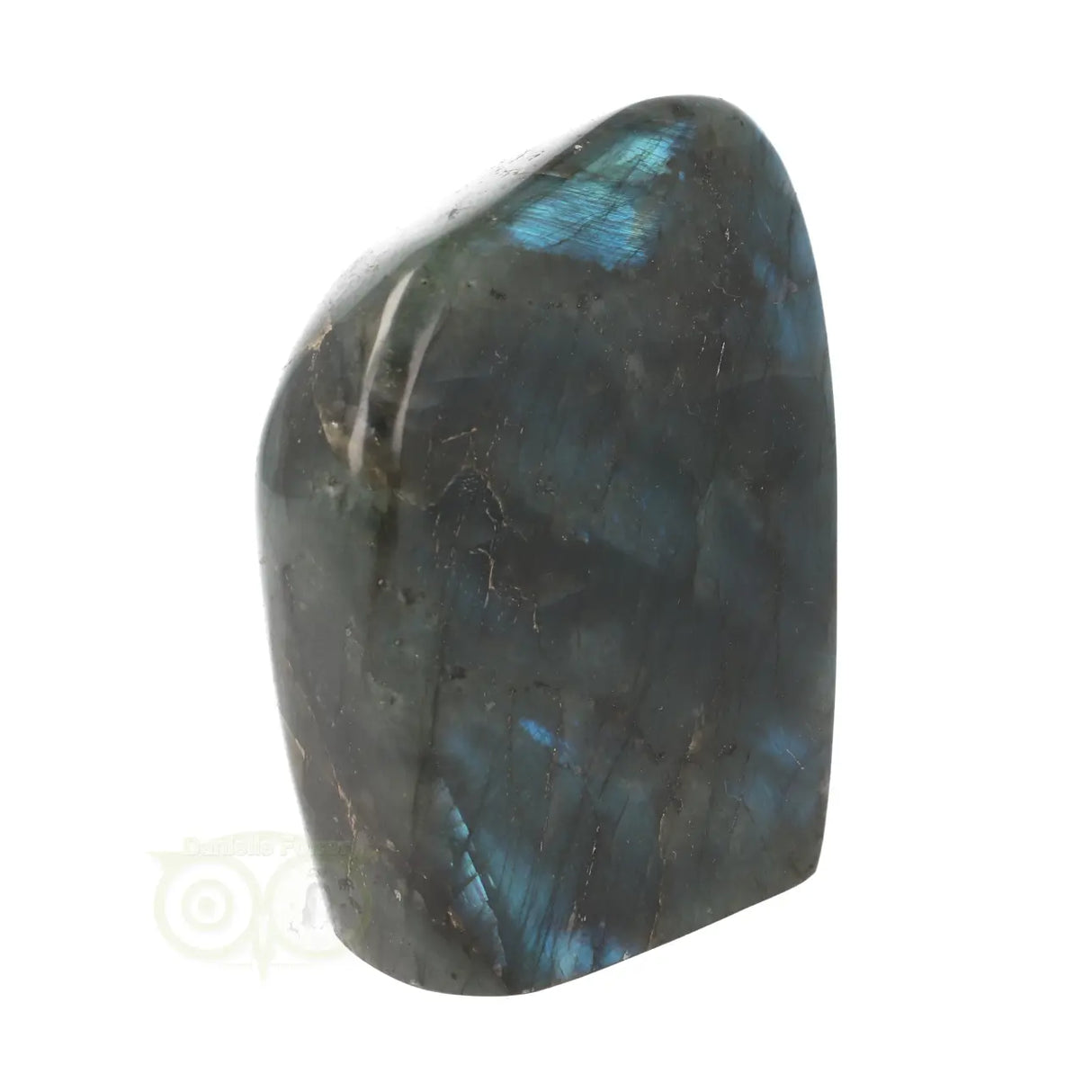 Labradoriet sculptuur Nr 60