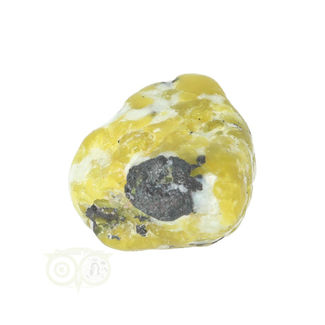 Lizardite tumbled stone No. 19