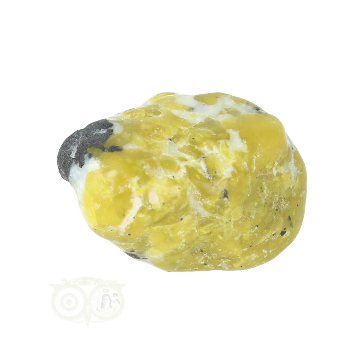 Lizardiet trommelsteen Nr 19