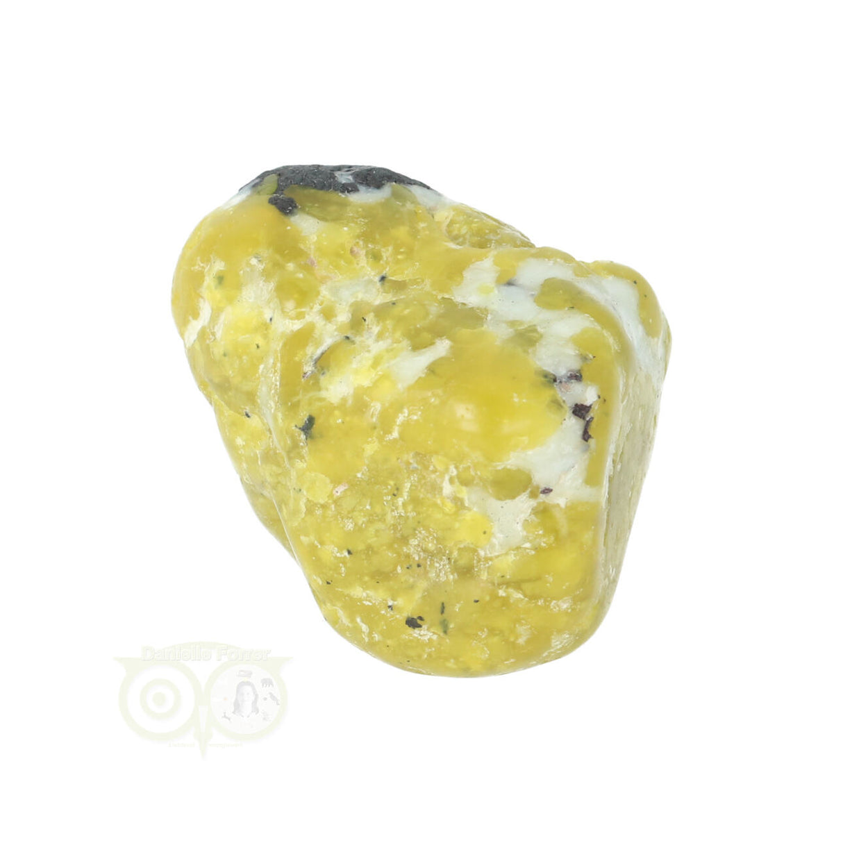 Lizardiet trommelsteen Nr 19