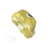 Lizardiet trommelsteen Nr 21