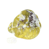 Lizardiet trommelsteen Nr 32