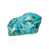 Malacholla free form Nr 11