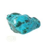 Malacholla free form Nr 11