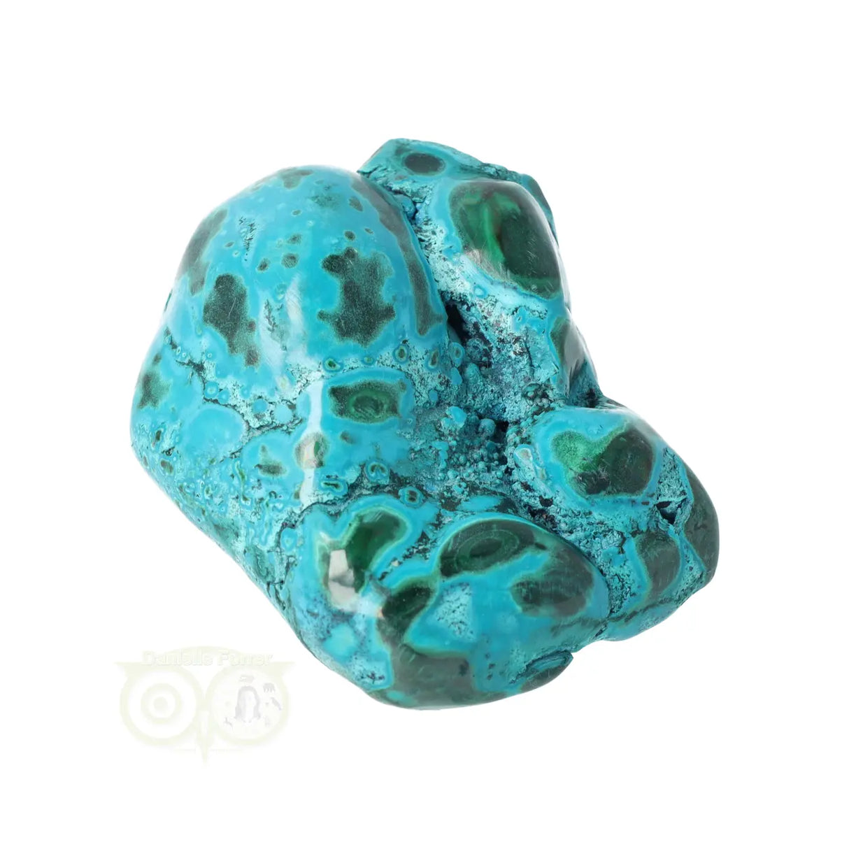 Malacholla free form Nr 11