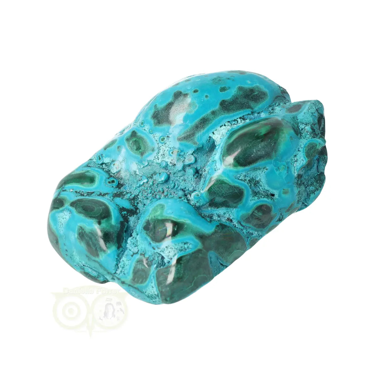 Malacholla free form Nr 11