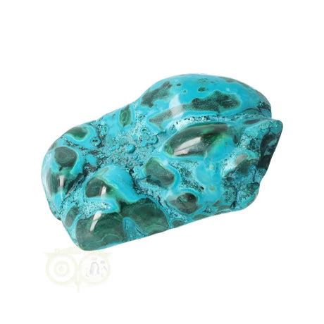 Malacholla free form No. 11