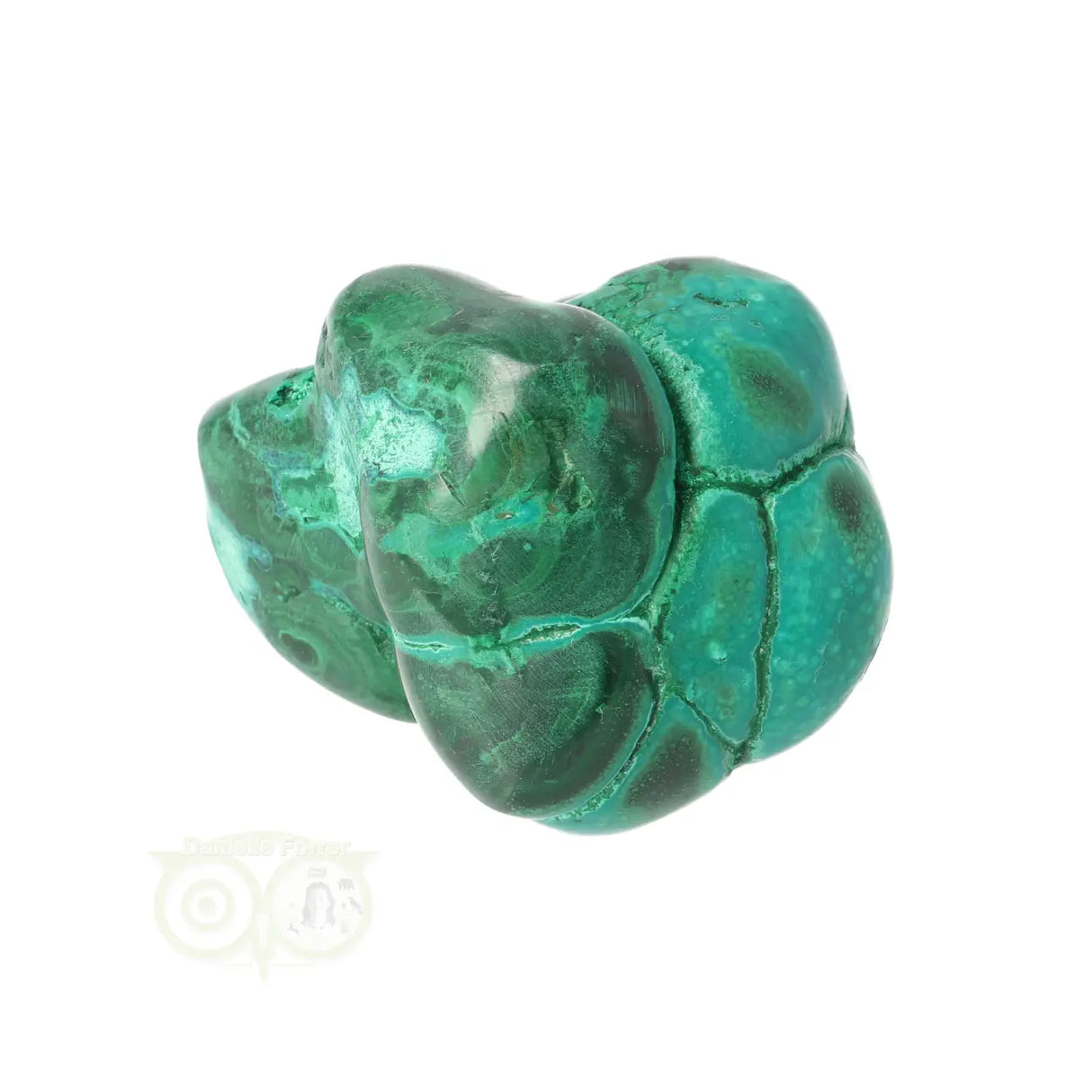 Malacholla free form Nr 19