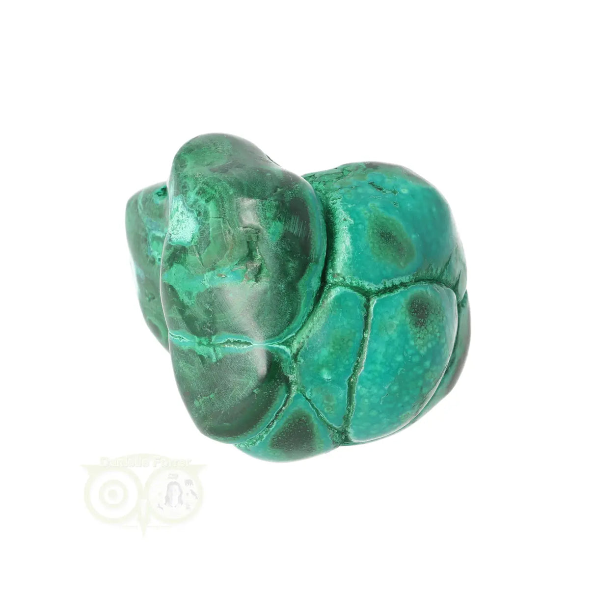 Malacholla free form Nr 19