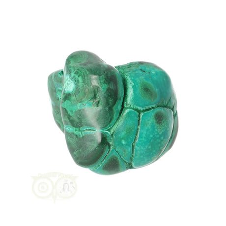 Malacholla free form Nr 19
