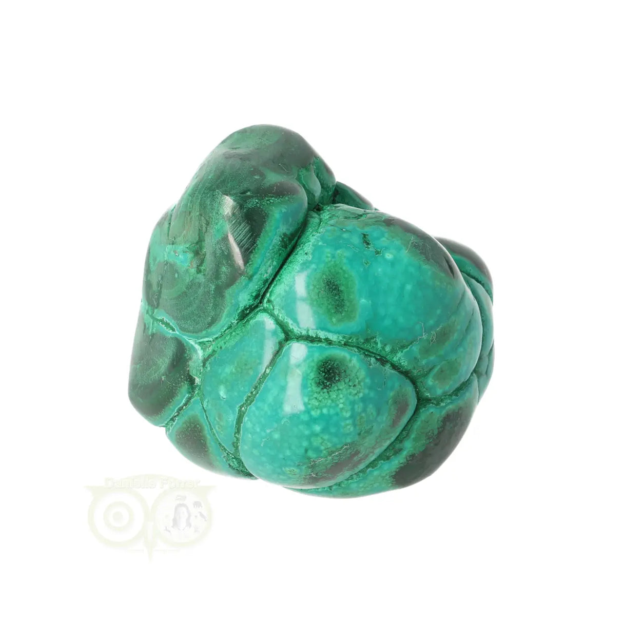 Malacholla free form Nr 19