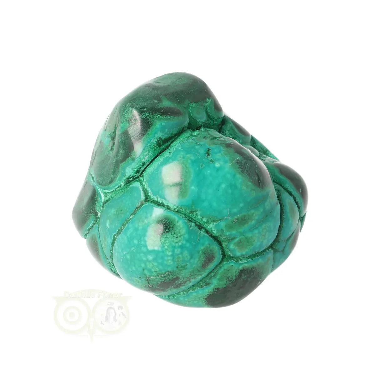 Malacholla free form Nr 19