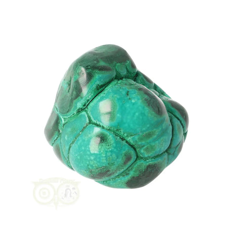Malacholla free form Nr 19