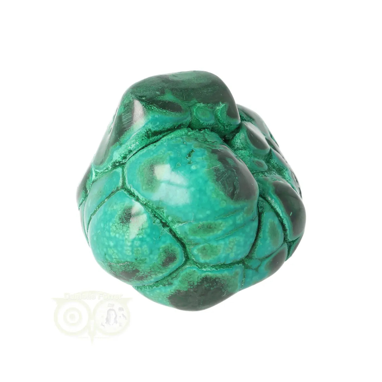 Malacholla free form Nr 19