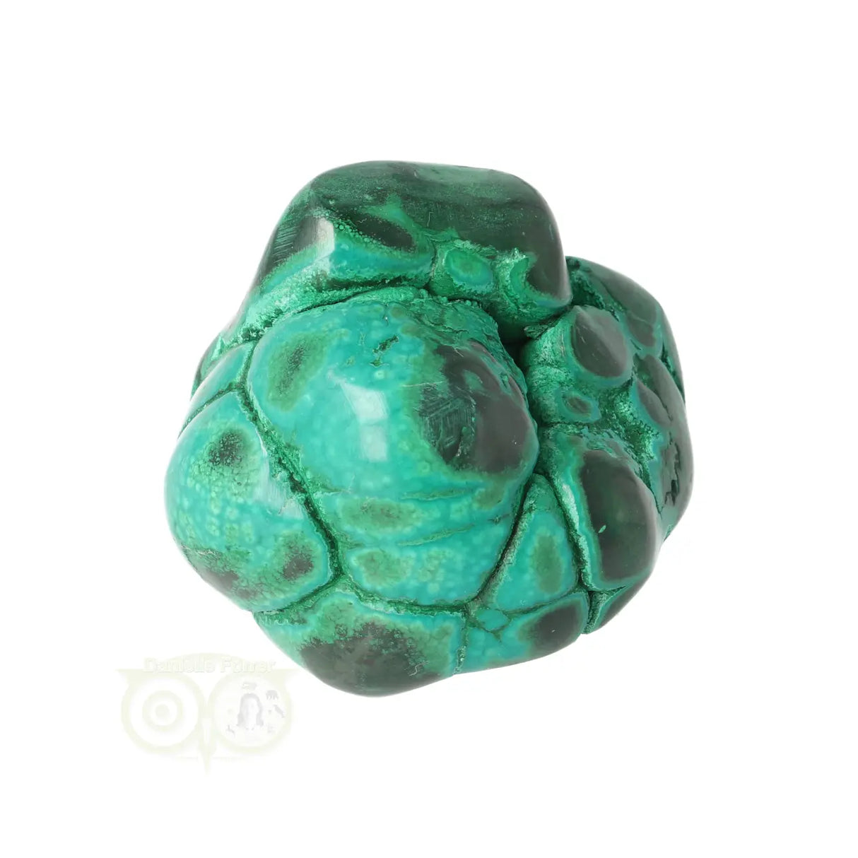 Malacholla free form Nr 19