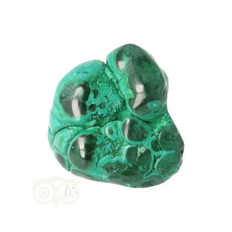 Malacholla free form Nr 19