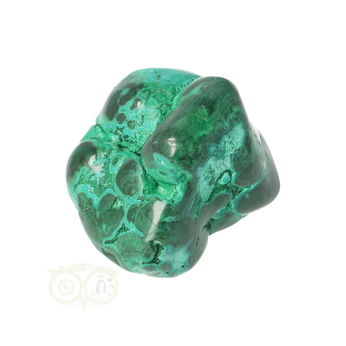 Malacholla free form Nr 19