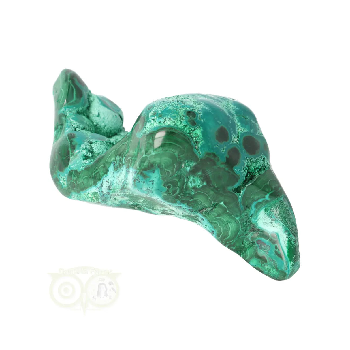 Malacholla free form Nr 20