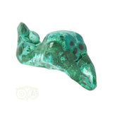 Malacholla free form Nr 20