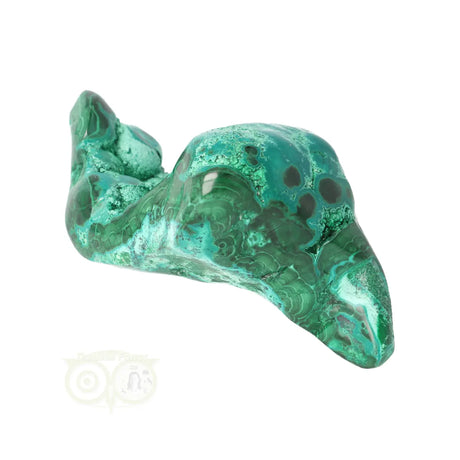 Malacholla free form Nr 20