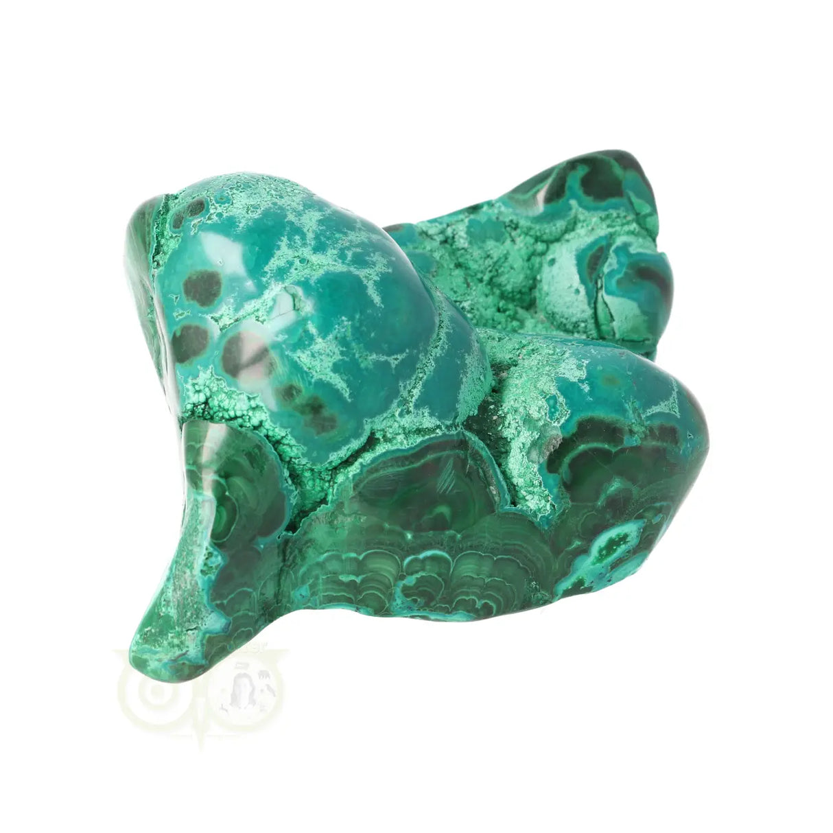 Malacholla free form Nr 20