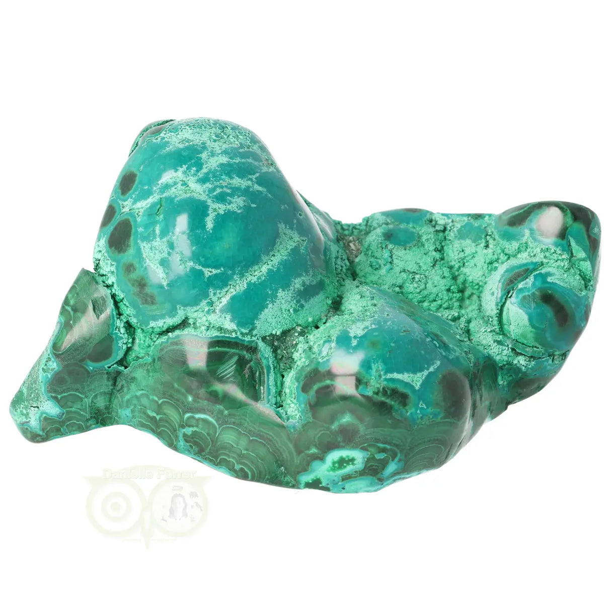 Malacholla free form Nr 20