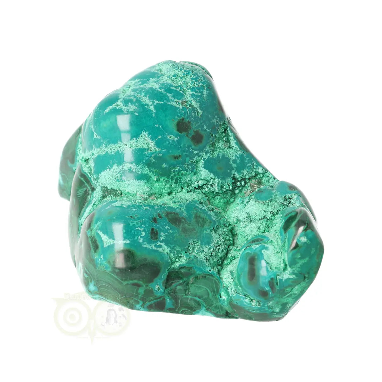 Malacholla free form Nr 20