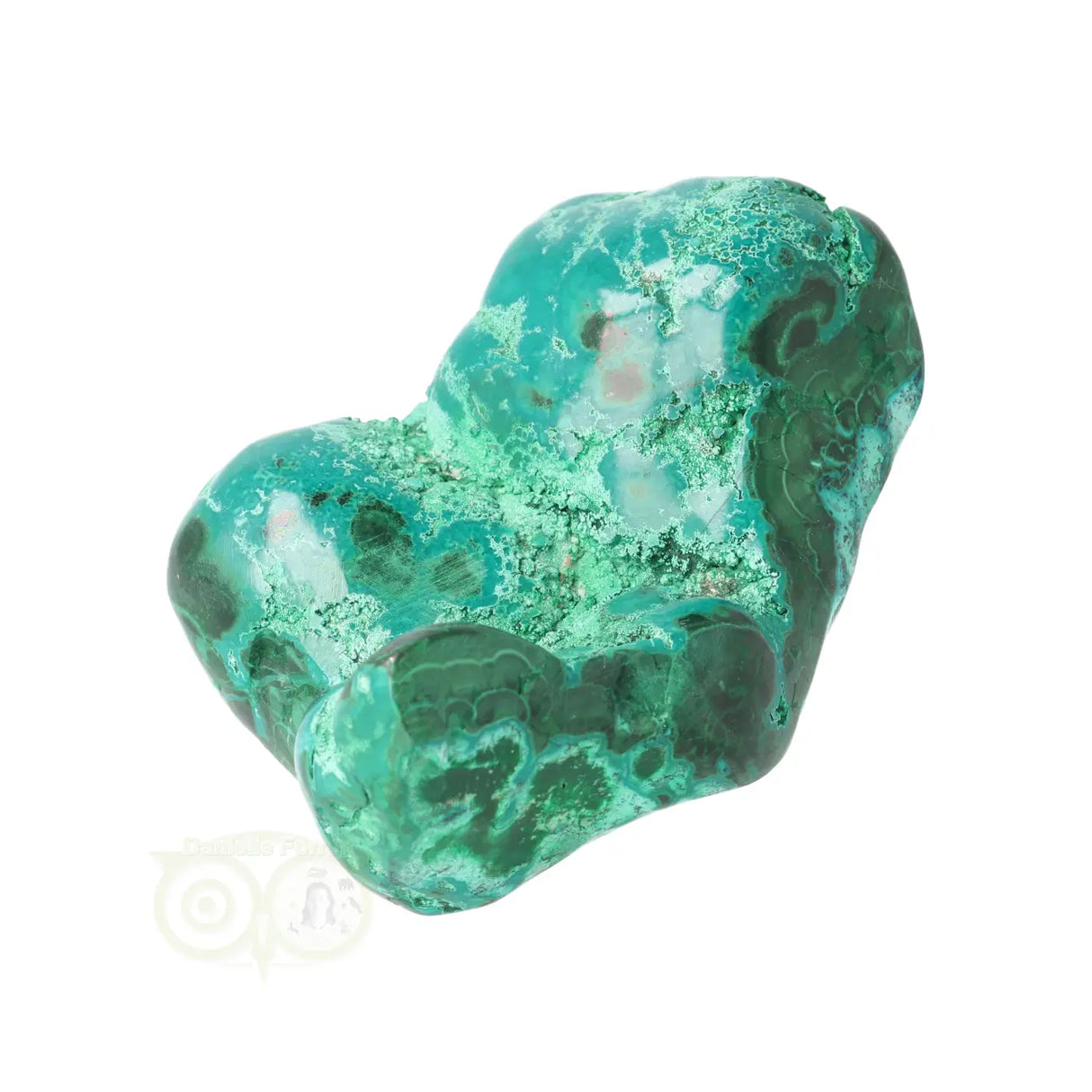 Malacholla free form Nr 20