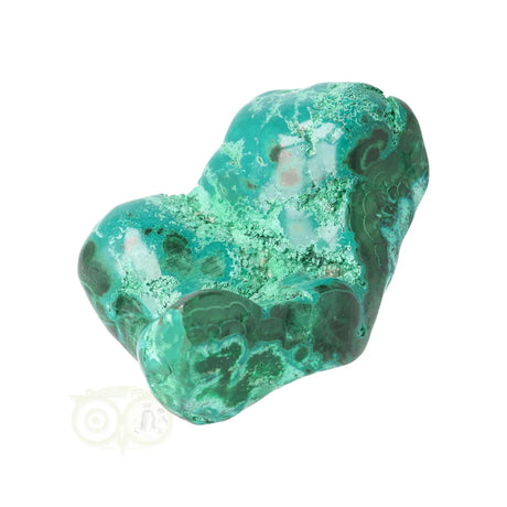Malacholla free form Nr 20