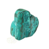 Malacholla free form Nr 21