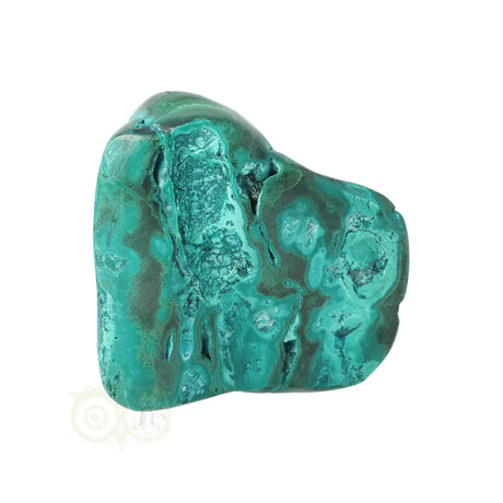 Malacholla free form Nr 21