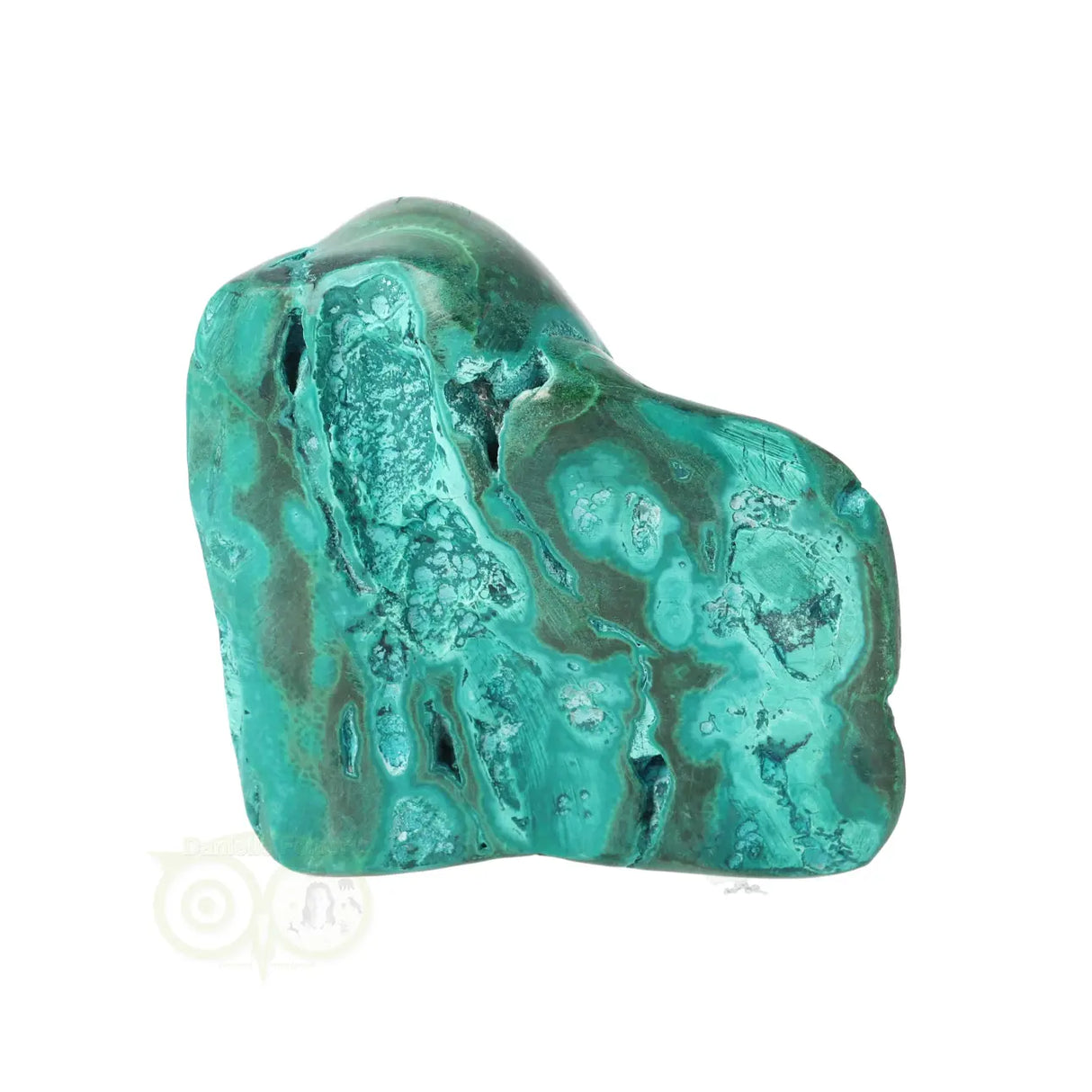 Malacholla free form Nr 21