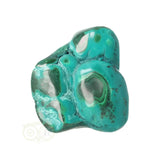 Malacholla free form Nr 21