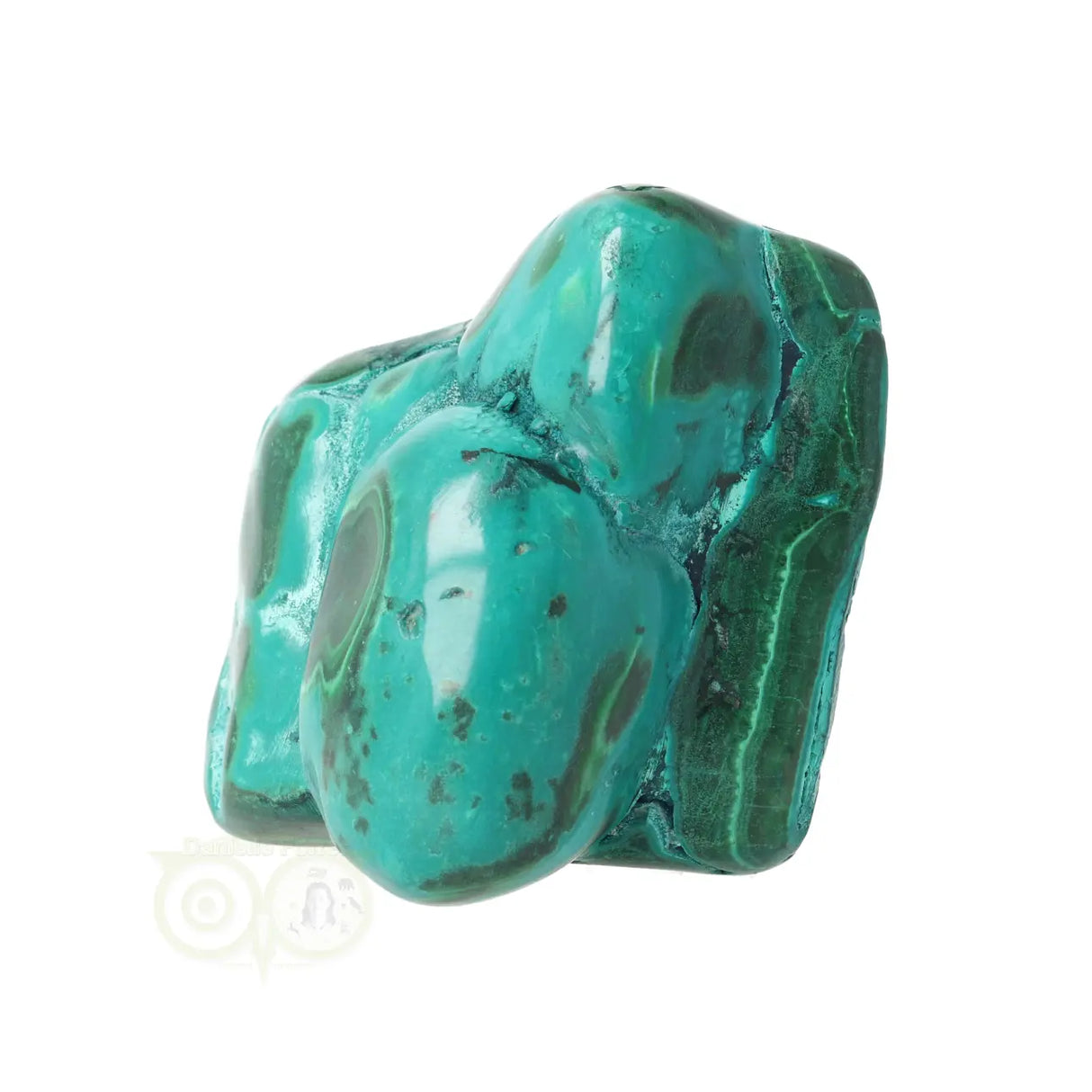 Malacholla free form Nr 21