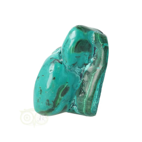 Malacholla free form Nr 21