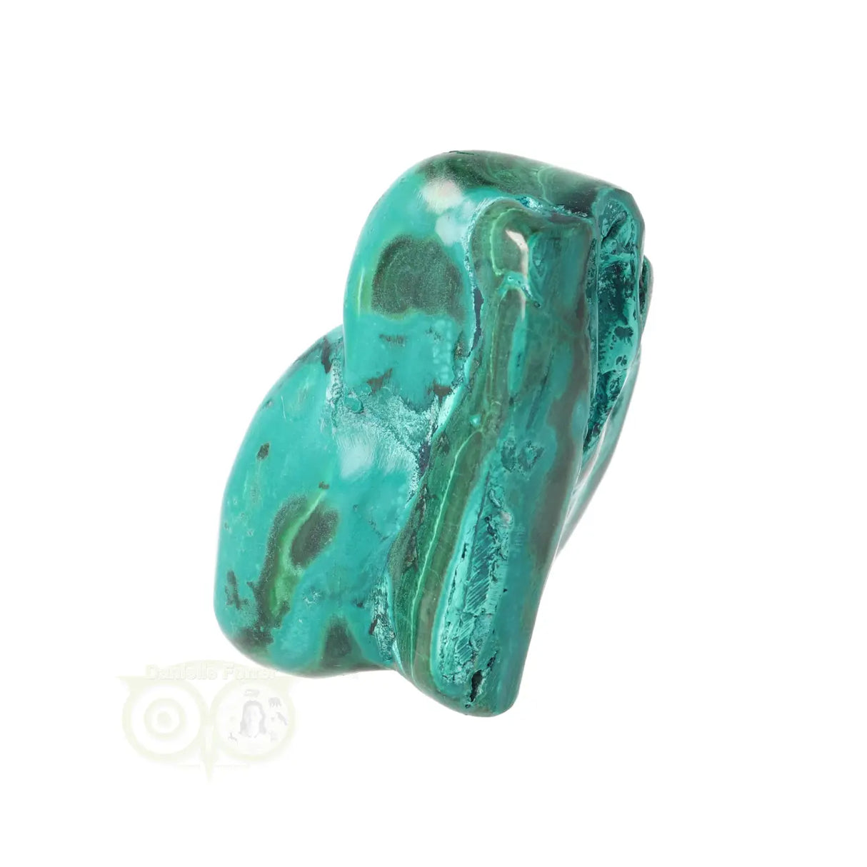 Malacholla free form Nr 21