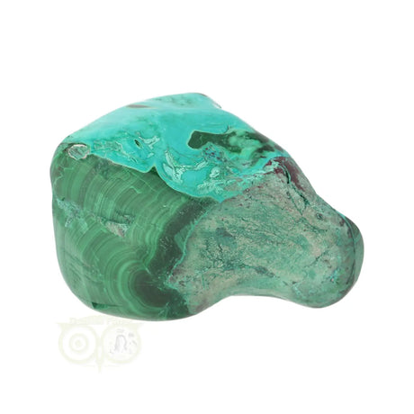 Malacholla free form Nr 22