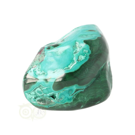 Malacholla free form Nr 22