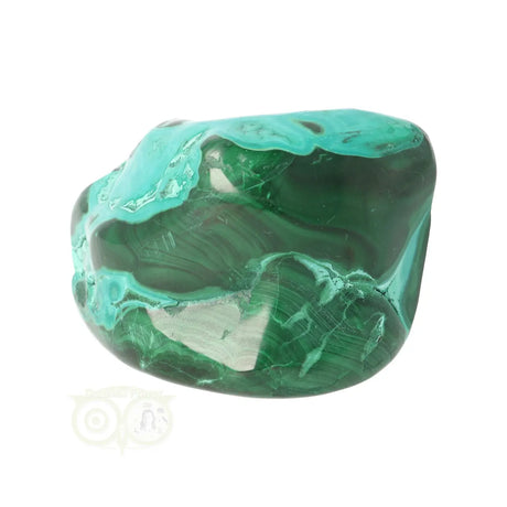 Malacholla free form Nr 22