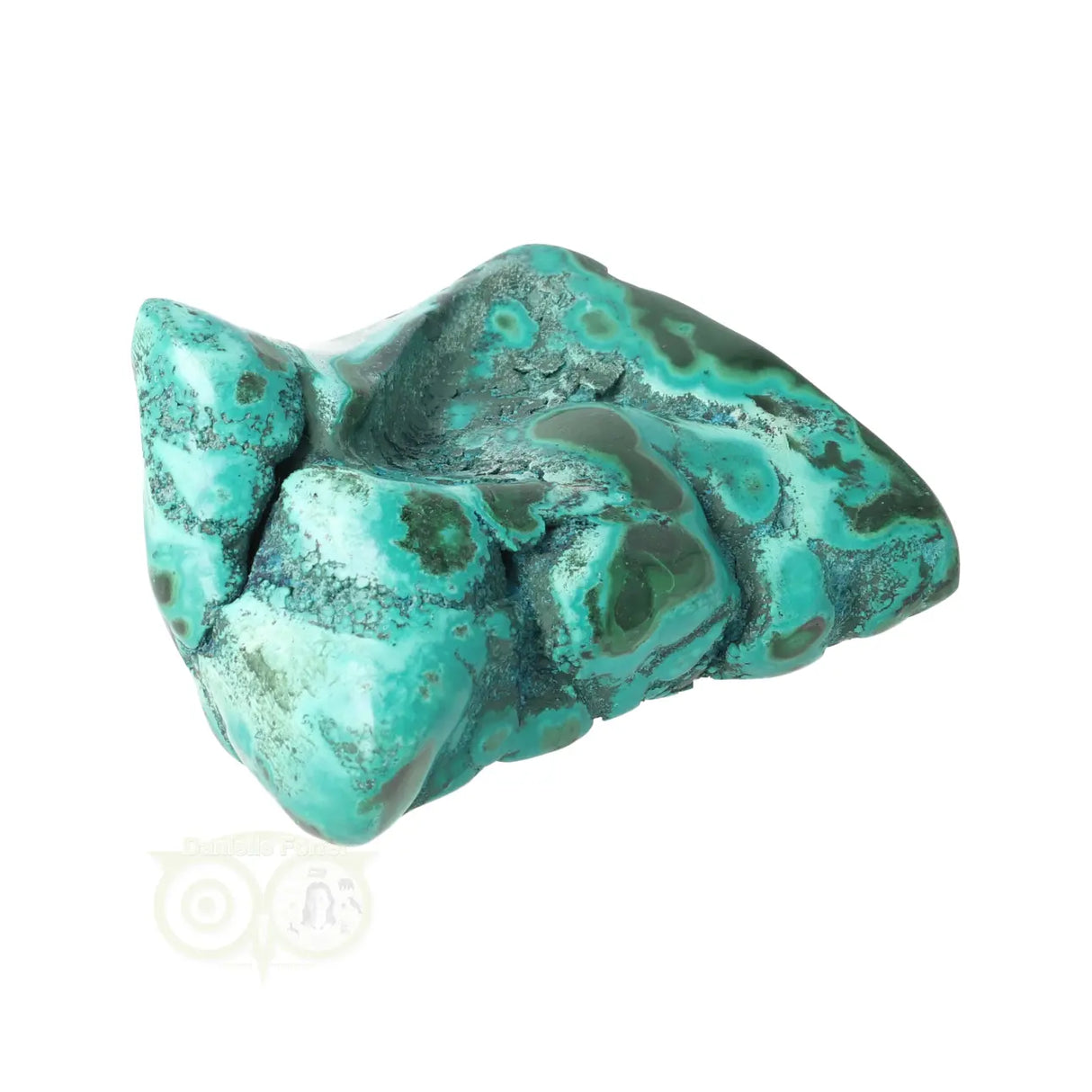 Malacholla free form Nr 23