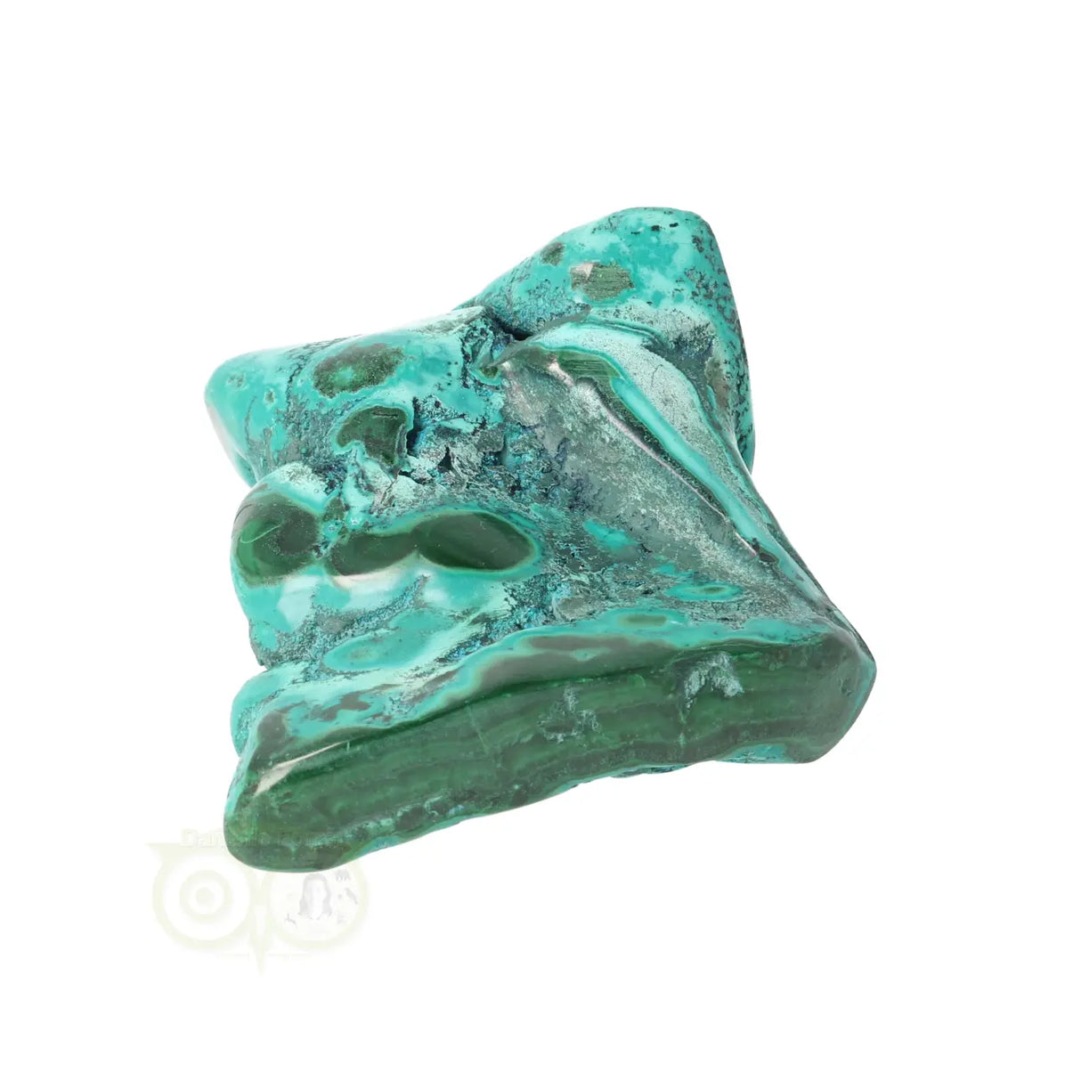 Malacholla free form Nr 23