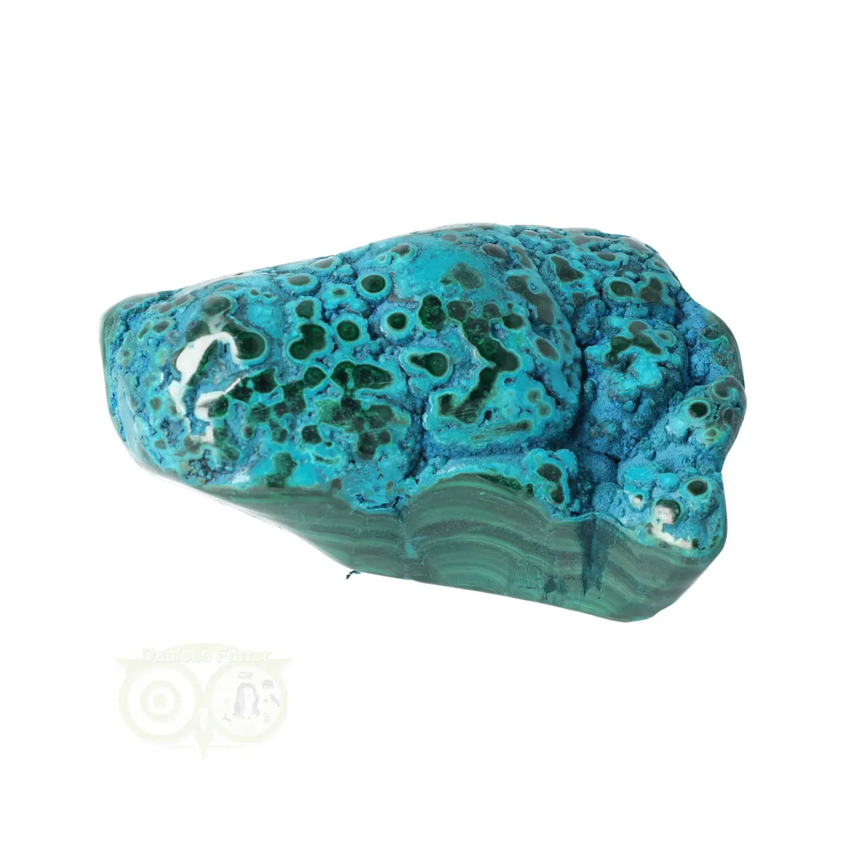 Malacholla free form Nr 6