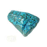 Malacholla free form Nr 6