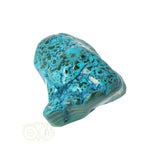 Malacholla free form Nr 6